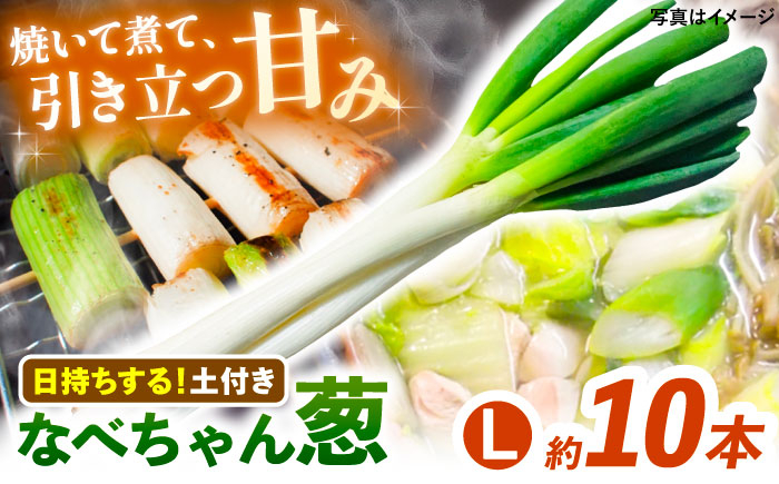 
            【2025年11月発送開始】焼いてそのまま美味しい！なべちゃん葱（土付き）秀品 Lサイズ2.5kg（約10本） ねぎ ネギ 島根県雲南市/山さんファーム [AICO004]
          