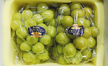 シャインマスカット 晴王 化粧箱 岡山県産 シャインマスカット【2房 1房600g以上】【先行予約】