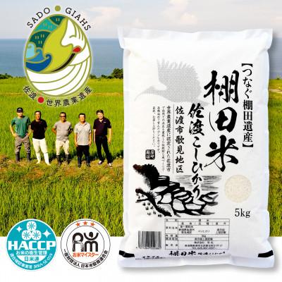 ふるさと納税 佐渡市 棚田米 佐渡こしひかり 佐渡市歌見地区　精米　5kg