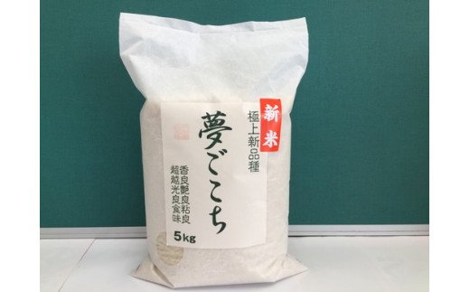 【6年産】近江米夢ごこち【5kg×1袋】【T034U1】