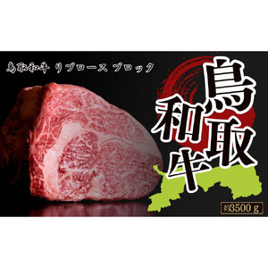 鳥取和牛リブロース　約3500g　ブロック|和牛