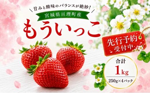 
                  いちご イチゴ 苺 先行予約 1月発送 家庭用 もういっこ 宮城県亘理町産 1kg 250g×4パック 小分け 冷蔵配送 国産 フルーツ 返礼品
                