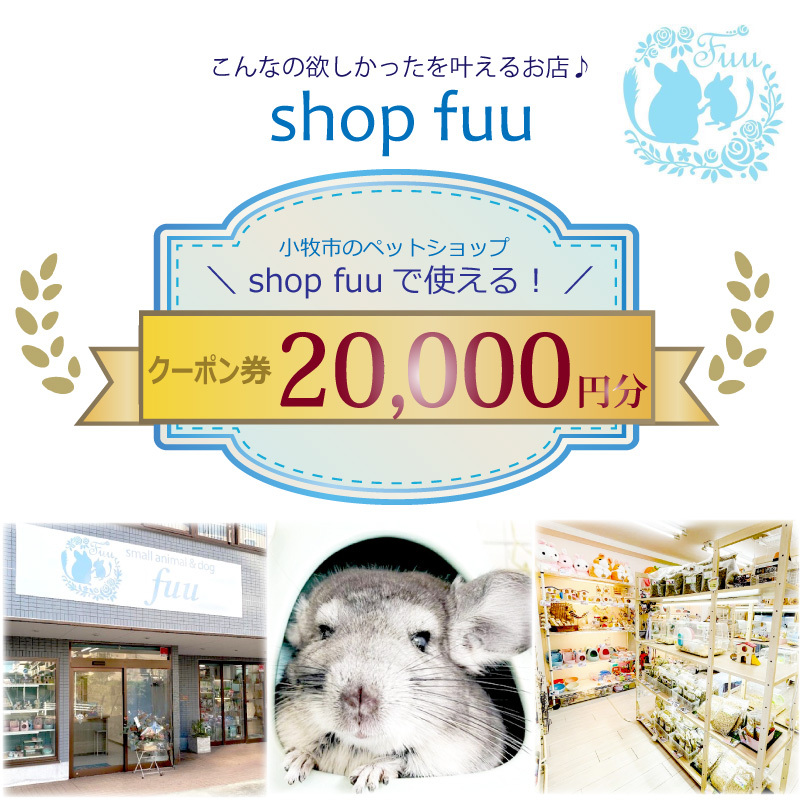 shop fuuで使えるクーポン券（20,000円）［145S79］