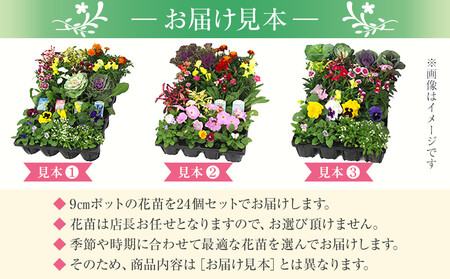 季節の花苗24苗セット