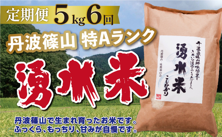 定期便 お米 特A 湧水米コシヒカリ【 5kg 6回 】定期便