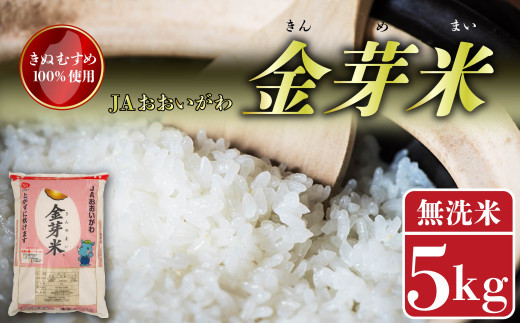 お米 金芽米 5kg お茶 80g セット きぬむすめ 無洗米 静岡県産 5キロ ごはん ご飯 精米 白米 食品 おこめ 糖質オフ お茶の葉 煎茶 静岡県 藤枝市