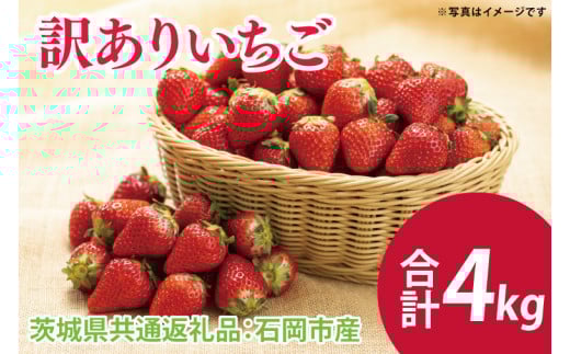 【先行予約】訳ありいちご 4kg（茨城県共通返礼品：石岡市産）※2025年12月初旬～2026年3月下旬頃に順次発送予定(CD016）
