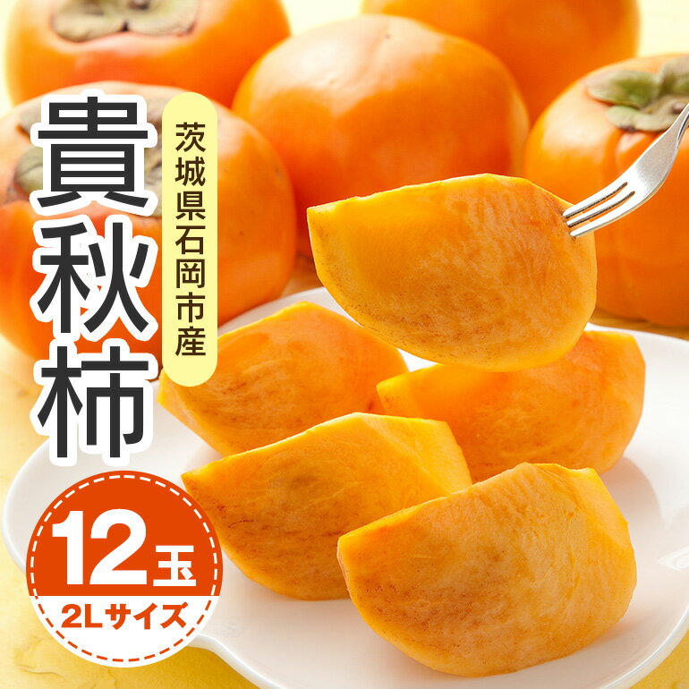 【ふるさと納税】【 2025年 先行予約 】 貴秋柿 2L 12玉 （鈴木柿園） 柿 甘い柿 糖度高い 貴秋かき 大玉 カキ 甘い 果物 フルーツ くだもの カキ 貴秋かき 秋 旬 甘柿 贈答用 贈答品 ギフト 贈り物 品種 10月 11月 発送 産地直送 農家直送 茨城県 石岡市 送料無料 (A08-004)