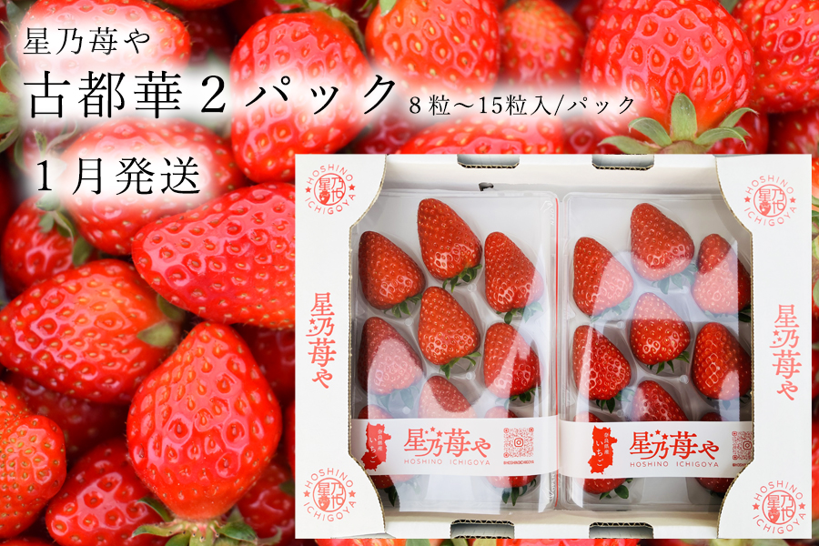 【先行予約】【古都華】2パック 2026年1月発送 ///苺 いちご イチゴ ストロベリー  古都華 奈良 奈良県 広陵町 生産者直送  直送 厳選 数量限定 旬 フルーツ 甘い 完熟 果物