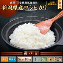 【ふるさと納税】米 無洗米 定期便 5kg 6kg 10kg 新潟 コシヒカリ 令和6年 新米 2kg×3袋 小分け 精米 白米 お米 選べる 1回 3回 6回 12回 3ヶ月 6ヶ月 12ヶ月 新潟こしひかり 新潟県胎内市産コシヒカリ（中条農産）