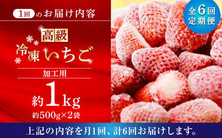 【6回定期便】【数量限定】高級 冷凍  いちご 加工用 約1kg（約500g×2袋）【伊藤農園】 果物 フルーツ イチゴ いちご 苺 熊本県 特産品 オーガニック 有機 恋みのり 冷凍 いちご 冷凍い