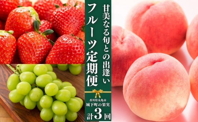 フルーツ 定期便 3回 旬に出逢う城下町の果実 定期配送 いちご 桃 シャインマスカット 果実 果物 ぶどう 