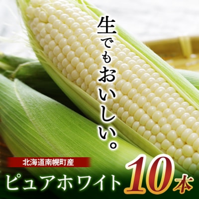 北海道産 とうもろこし ピュアホワイト 10本 朝採れ 一番果 令和6年配送