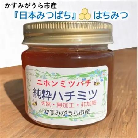 かすみがうら市産　『日本みつばち』の純粋はちみつ ＆ ブルーベリージャム_調味料 はちみつ  ハチミツ 蜂蜜  惣菜・加工品 ジャム 缶詰・瓶詰 _【1489614】