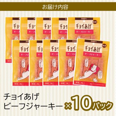 ふるさと納税 海陽町 《10パック》ビーフジャーキー(60g×10P)チョイあげ犬のおやつ(チャック付き)WNW31 |  | 02
