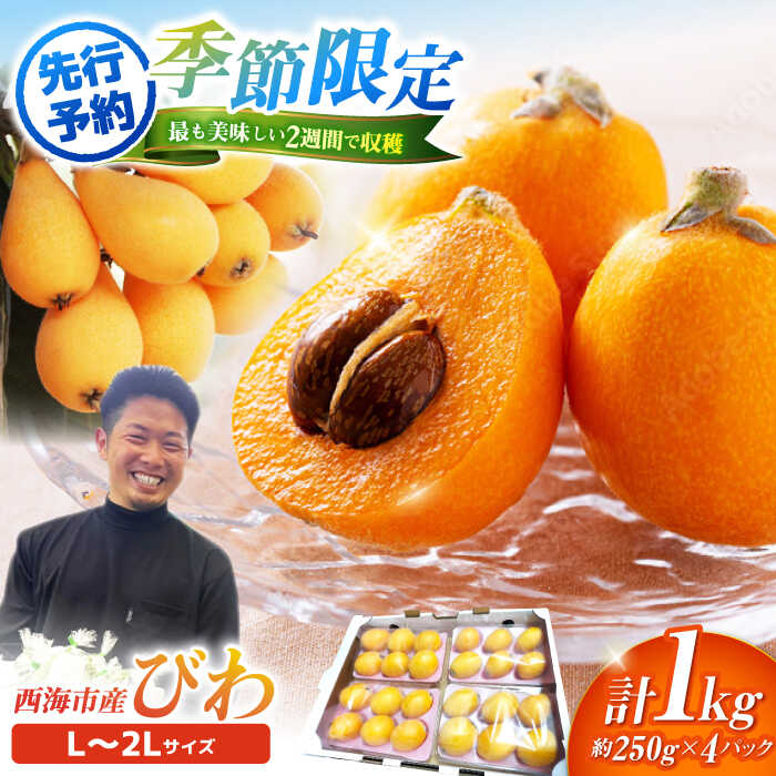 【ふるさと納税】【数量限定】【先行予約】 びわ 枇杷 西海市産 約1kg L～2Lサイズ＜パッパラパー農園＞ [CFI002] ビワ 果物 フルーツ 新鮮 1kg Lサイズ 2Lサイズ