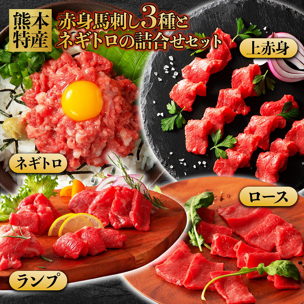 【ふるさと納税】 赤身馬刺し3種とネギトロの詰合せセット（ふじ馬刺しロース・ランプ・上赤身・ネギトロ） 肉 馬刺し 馬肉 赤身 ネギトロ 豪華 食べ比べ 赤身肉 ロース ランプ 上赤身 ブロック 冷凍 小分け ヘルシー おつまみ 晩酌 熊本県 水上村