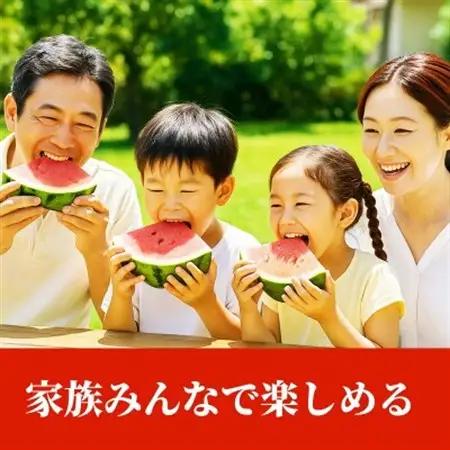 【先行予約】 熊本県産 暑い季節の水分補給に! 大玉すいか 1玉入り L以上 約5kg以上(益城町)【1684323】