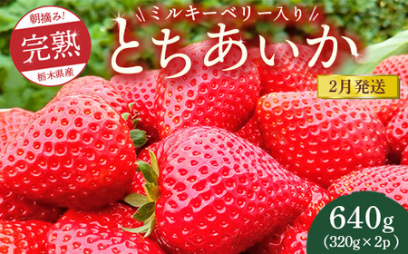 【先行予約】【2月発送】朝摘み！完熟とちあいか《ワンポイントにミルキーベリー入り》640g（320g×2p）　※離島への配送不可　※2026年2月上旬～2月下旬頃に順次発送予定