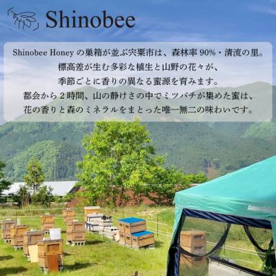 ふるさと納税 宍粟市 国産・非加熱 生はちみつ　300g　百花〈山野の花々〉 AS18　 |  | 03