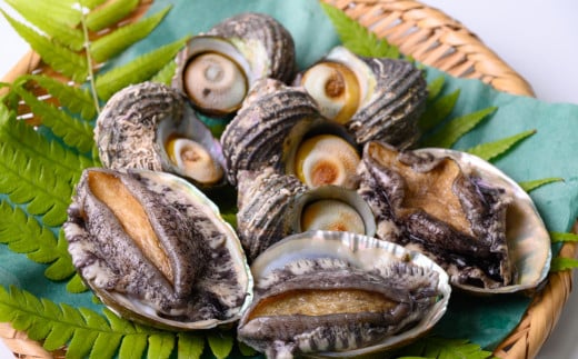 あわび＆さざえ セット（あわび 5枚(約350g)、さざえ 7～12コ(約1Kg)）〈上保商店〉魚介類 BBQ食材 [US03]