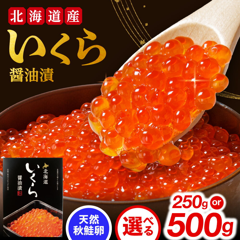 【ふるさと納税】 北海道産 いくら 醤油漬け 【 選べる 容量 】 250g 500g 秋鮭 イクラ ikura 国産 秋鮭卵 昆布 鰹節エキス 味付き 鮭 サケ シャケ 魚卵 海鮮 魚介 イクラ丼 おつまみ おかず ご飯のお供 冷凍 北海道 札幌市