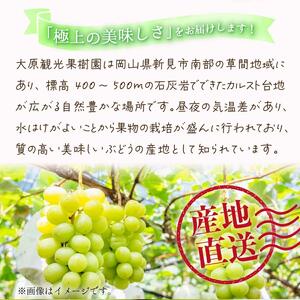 【2025年先行予約】［大原観光果樹園］シャインマスカット 2房（約1.2kg）［026-a014］