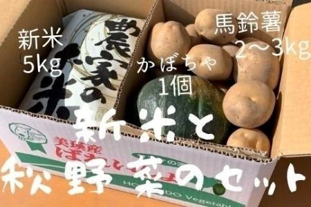 ≪令和７年産予約受付！≫サスケの家　新米と秋野菜のセット[015-101]