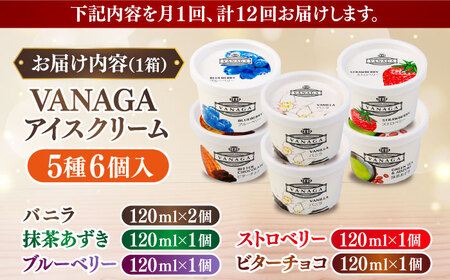アイス 【全12回定期便】VANAGA 5種類のアイスクリーム6個入 アイス [AIBH028] アイス