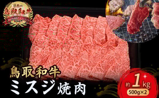 鳥取和牛 ミスジ焼肉 1kg ( 500g × 2 ) 国産 牛肉 和牛 みすじ 希少 ミスジ 鳥取和牛 黒毛和牛 肉 焼き肉 ブランド牛 最高級部位 小分け 鳥取県 倉吉市 KR1354