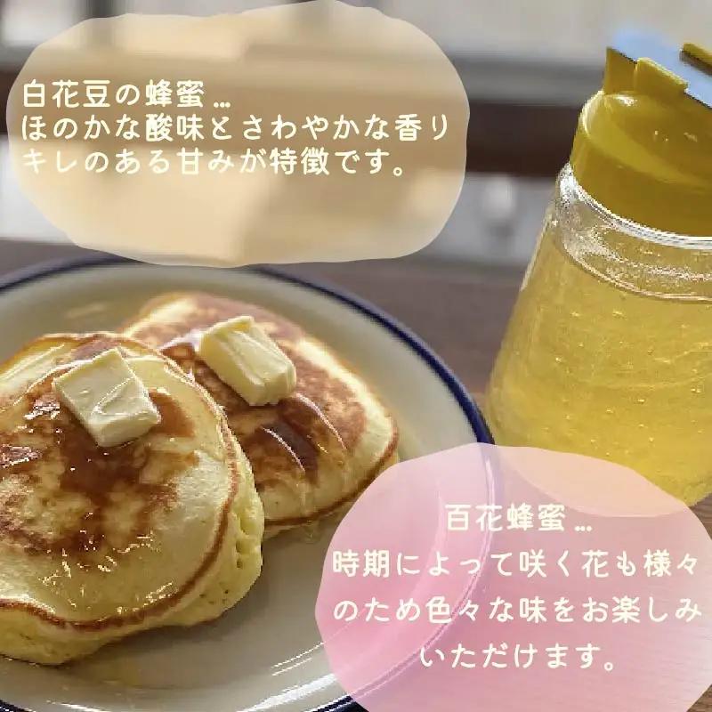 《14営業日以内に発送》【国産蜂蜜】はちみつ450g パッカー容器2本 ( 白花豆蜂蜜　百花蜂蜜 はちみつ 蜂蜜 ハチミツ ハニー パッカー容器 )【022-0019】
