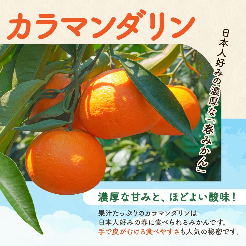 【2027年発送 先行予約品】