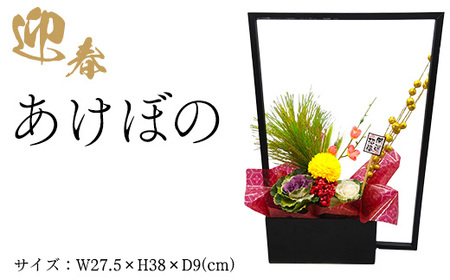 迎春　あけぼの ※2025年12月中旬～下旬頃に順次発送予定