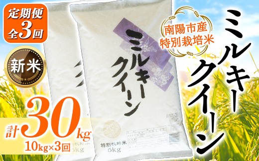 
                  【令和8年産 新米 先行予約】 【金賞受賞農家】 《定期便3回》 特別栽培米 ミルキークイーン 計10kg(5kg×2袋)×3か月 《令和8年9月下旬～発送》 『あおきライスファーム』 山形南陽産 米 白米 精米 ご飯 農家直送 山形県 南陽市 [2410-R8]
                
