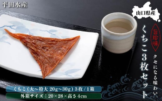 【年内発送】【ギフト用】山口県産くちこ3枚セット