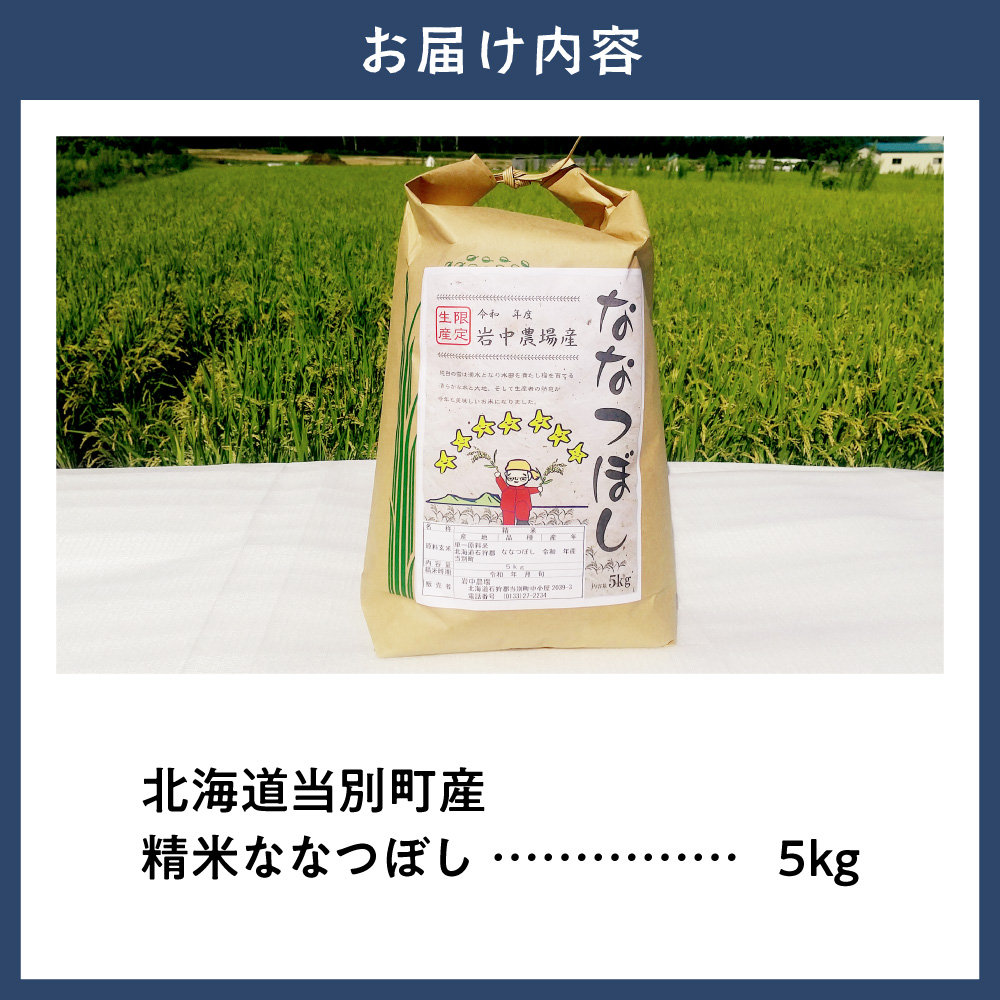 【令和7年産】精米ななつぼし5kg_tb11-002