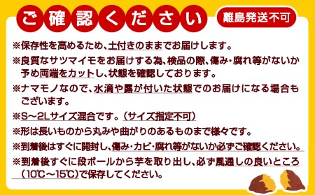 先行受付!【10月お届け】【農家直送】山下農園　熟成紅はるか 10kg_AA-I705-10_(都城市) 都城産 紅はるか 10kg 農家直送 サイズ未選別 さつまいも 長期熟成