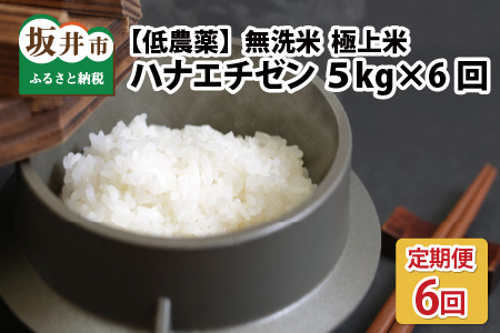 【令和6年産・新米】【6ヶ月連続お届け】福井県産 低農薬極上米 無洗米 5kg × 6回 計30kg 『ハナエチゼン』[J-8806_02]