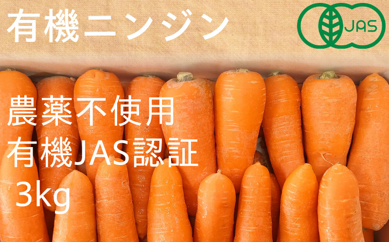 
            ２１３３　有機ニンジン 3kg 栽培期間中農薬不使用 有機JAS認証 冬季限定 ( 12～3月発送 ) しあわせ野菜畑
          