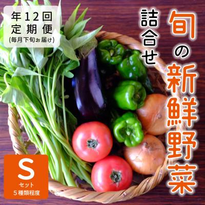 ふるさと納税 能勢町 【発送月固定定期便】『大阪能勢産』べじたぶるぱーくの新鮮野菜詰合せ　Sセット(5種類)　下旬全12回