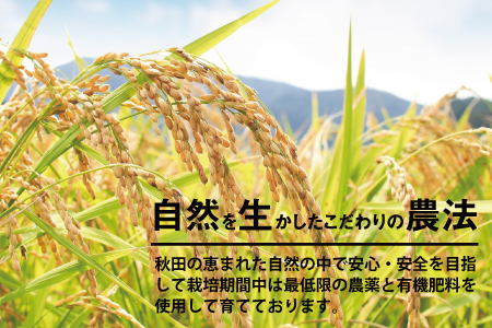 【令和6年産】さいとうさん家のあきたこまち10kg(10kg×1袋)　75P9011