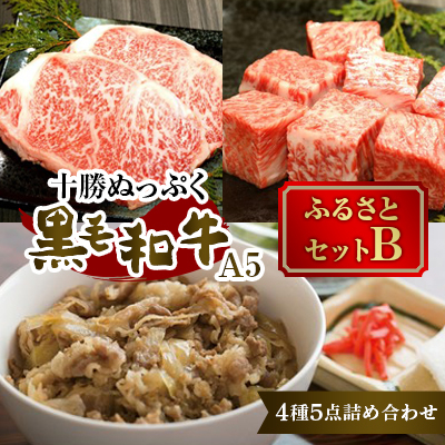十勝ぬっぷく黒毛和牛(A5)  ふるさとセットB(サーロイン・内もも・サイコロステーキ、牛丼)【配送不可地域：離島】【1146989】