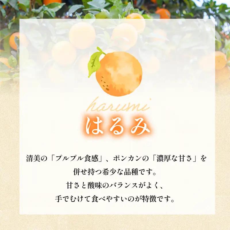 【先行予約】宗方印 はるみ（家庭用）約2kg