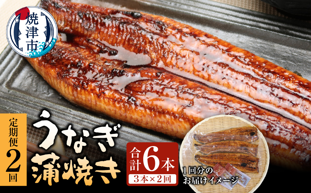 a50-152　【定期便】静岡県産　うなぎ蒲焼き 3本×2回