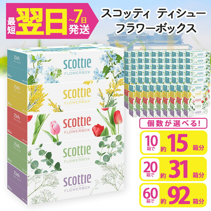 【ふるさと納税】＜容量が選べる＞ティッシュペーパー スコッティ 250組 フラワーボックス (5箱×2～12パック・計10箱 20箱60箱) 箱ティッシュ ティシュー 家庭用 防災 常備品 ストック 【fc-AS002-A】【日本製紙クレシア株式会社】