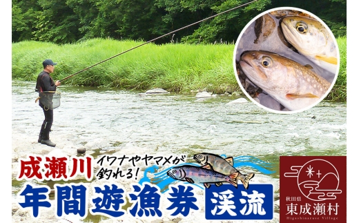 成瀬川 年間遊漁券（渓流）渓流魚 イワナ ヤマメ 川釣り 渓流釣り フィッシュパス 秋田県