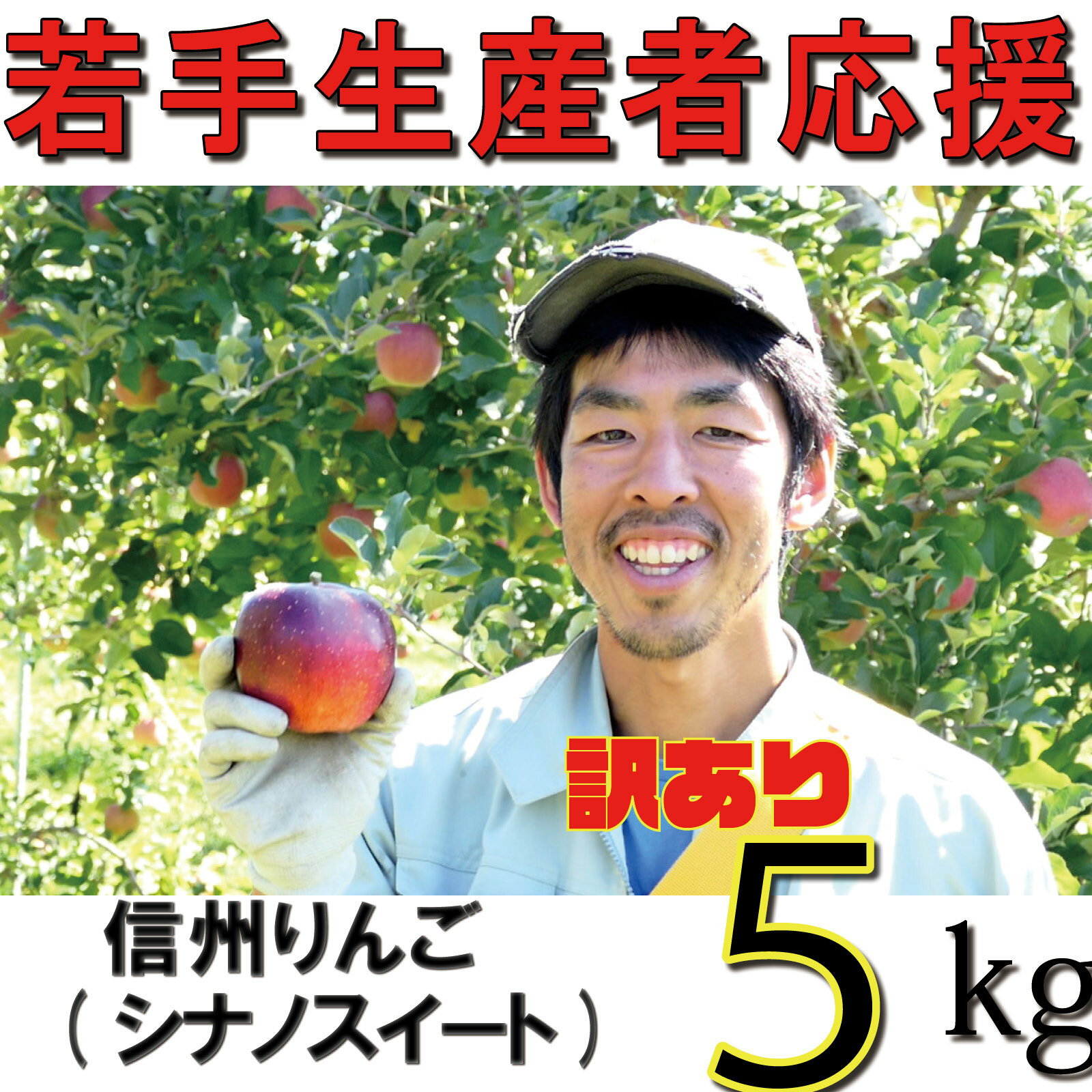 【ふるさと納税】 訳あり りんご 5kg 【若手生産者応援】 シナノスイート 川上啓介 果物 フルーツ 先行 予約 信州 麻績村 不揃い 規格外 家庭用