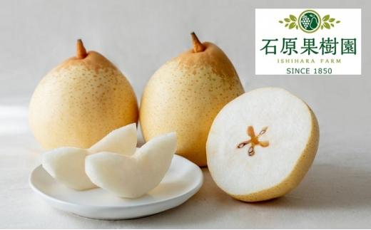 梨 2026年  備前乙女梨（鴨梨） 5～6玉入り（約3kg）箱赤秀 【ナシ なし 岡山県産 国産 フルーツ 果物 ギフト 石原果樹園】