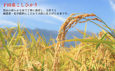 先行予約 コシヒカリ 5kg 新潟県三条市下田産こしひかり 令和7年産 新潟県産コシヒカリ 精米 白米 三条市下田産コシヒカリ【010S180】
