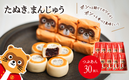 西条銘菓「たぬきまんじゅう」つぶあん プレーン 30個入 化粧箱｜ 和菓子 饅頭 個包装